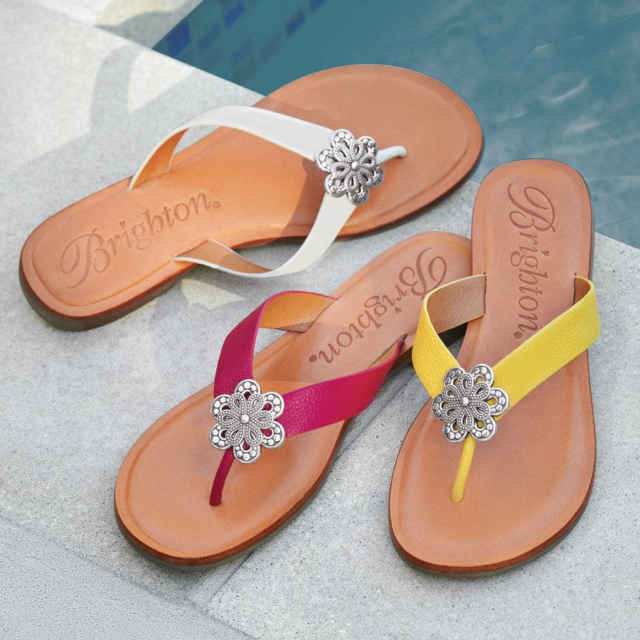 Aster Flower Thongs - Image 10