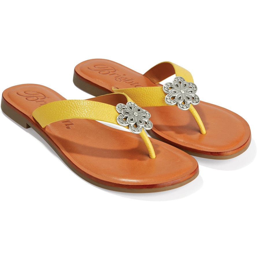 Aster Flower Thongs - Image 13
