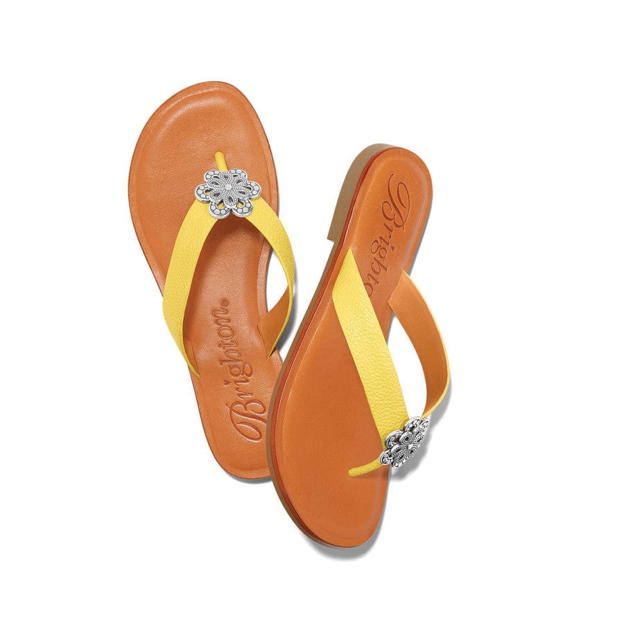 Aster Flower Thongs - Image 14